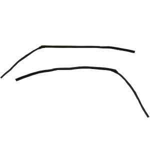1961-1963 Ford Thunderbird Hardtop Roof Rail Seals