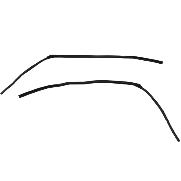 1961-1963 Ford Thunderbird Hardtop Roof Rail Seals