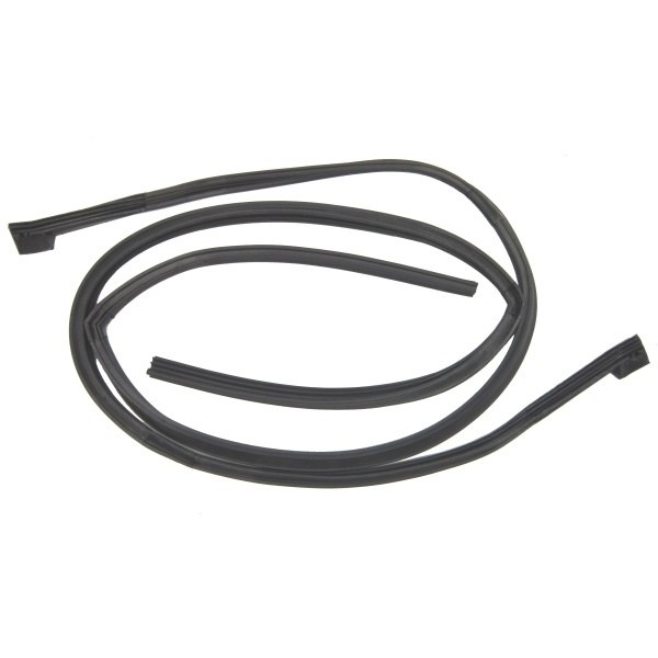 1964-1966 Ford Thunderbird Hardtop Roof Rail Seals