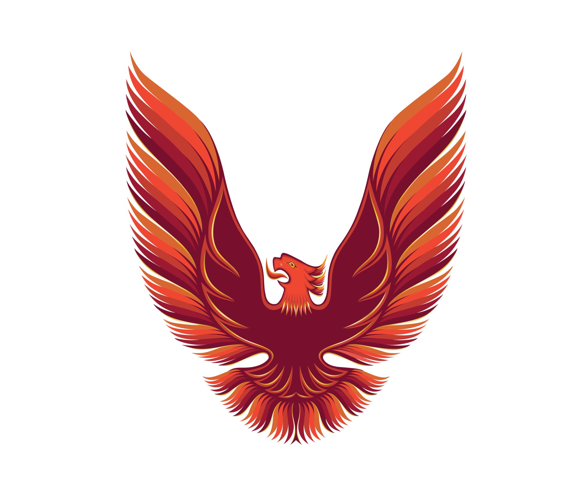 1980 Pontiac Firebird Trans Am 5 Color Red Hood Bird Vinyl Decal