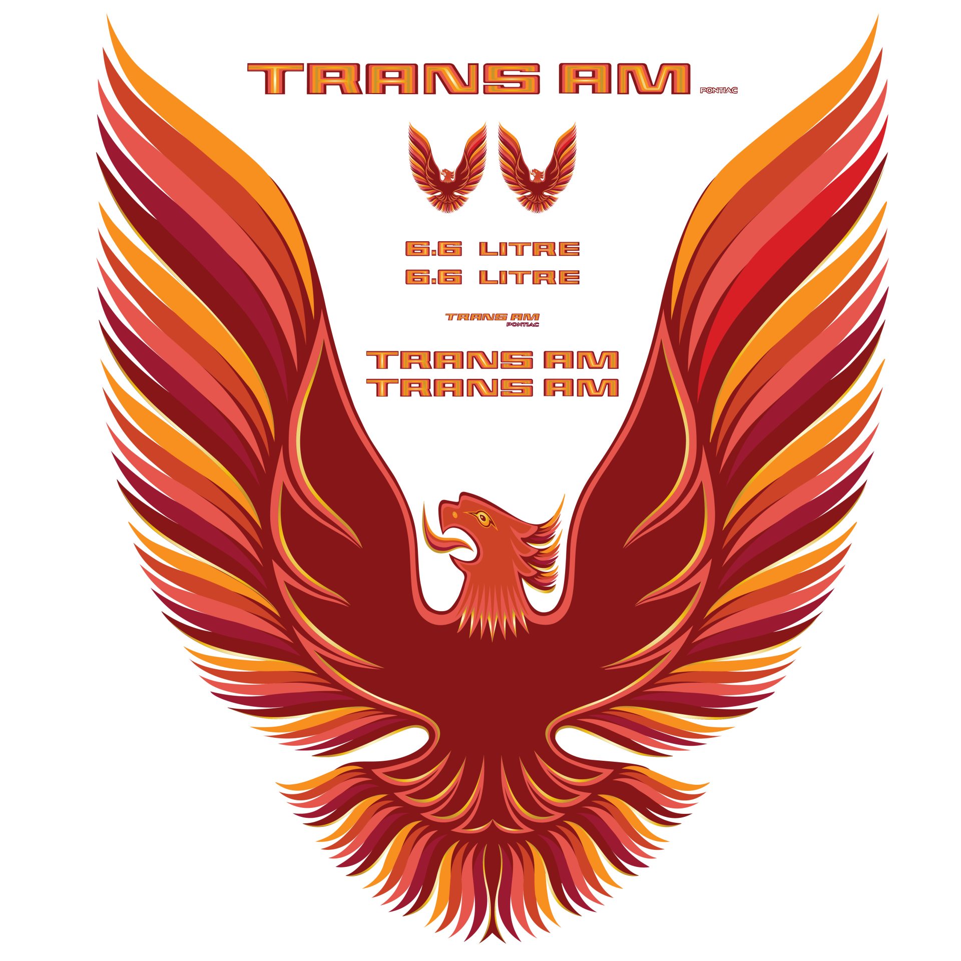 1979 Pontiac Firebird Trans Am Orange Vinyl Decal Kit With 6.6 Litre & 5 Color Hood Bird