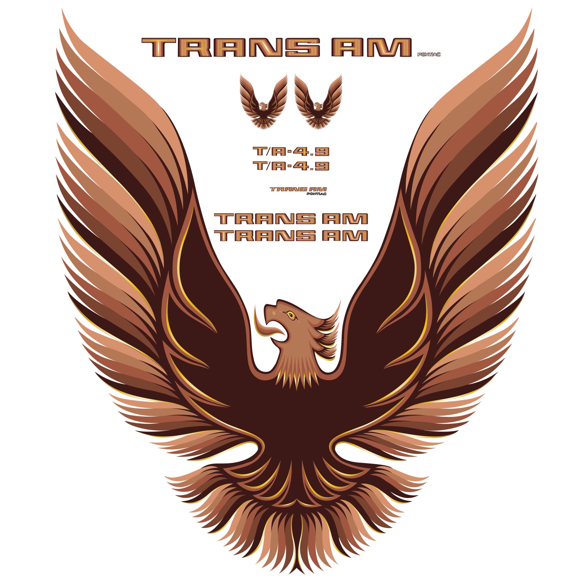 1980 Pontiac Firebird Trans Am Bronze Vinyl Decal Kit With T/A 4.9 & 5 Color Hood Bird