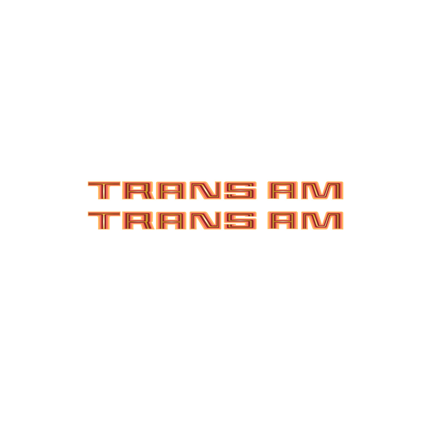 1979 Pontiac Trans Am Orange Fender Vinyl Decal Pair