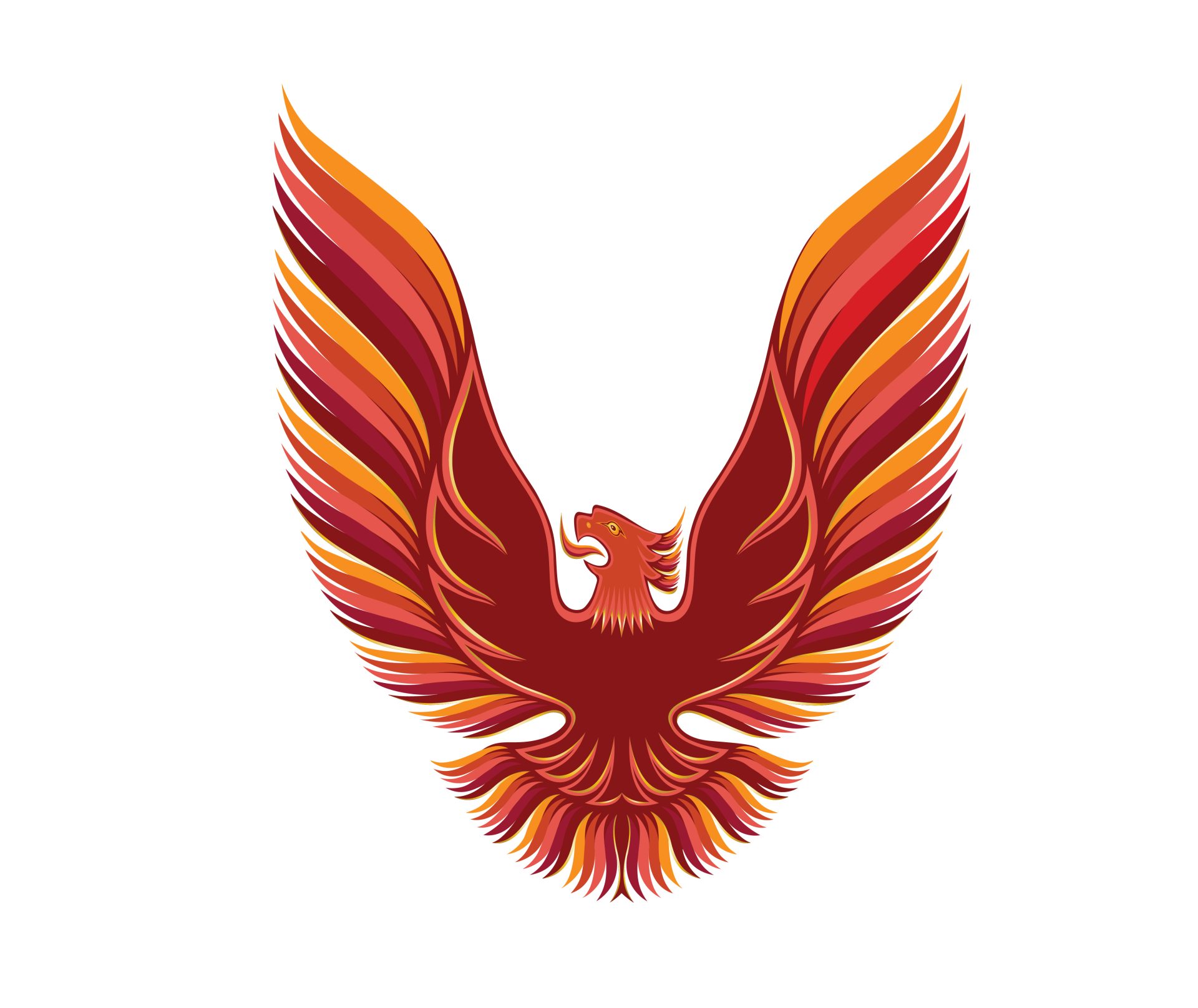 1979 Pontiac Firebird Trans Am 5 Color Orange Hood Bird Vinyl Decal
